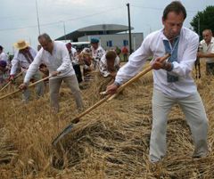 Николай Томенко косит пшеницу на празднике ”Первого снопа”  в Черкасской области. 8 июля