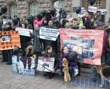 Марш в защиту бездомных животных в Киеве. Марш в защиту бездомных животных в Киеве.