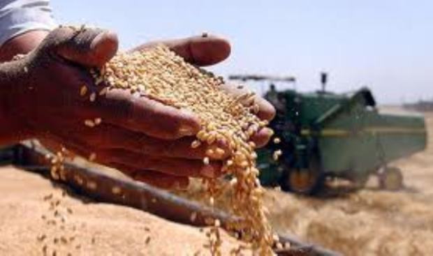 Украина наращивает экспорт зерновых / www.dw.de