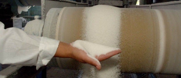Эксперты утверждают, что тенденция сокращения производства сахара продолжится / Фото УНИАН