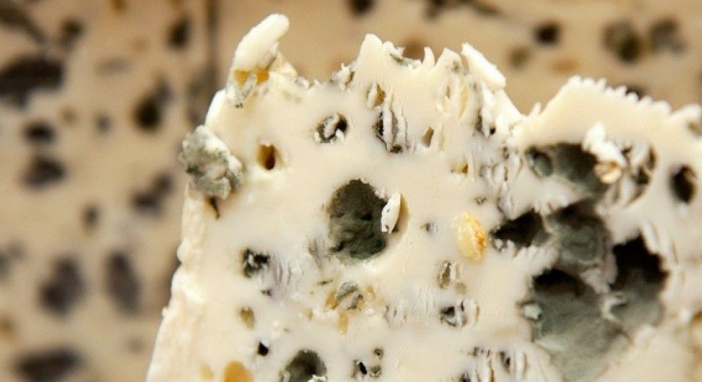 Самый Дорогой Сыр С Червями Фото – Telegraph