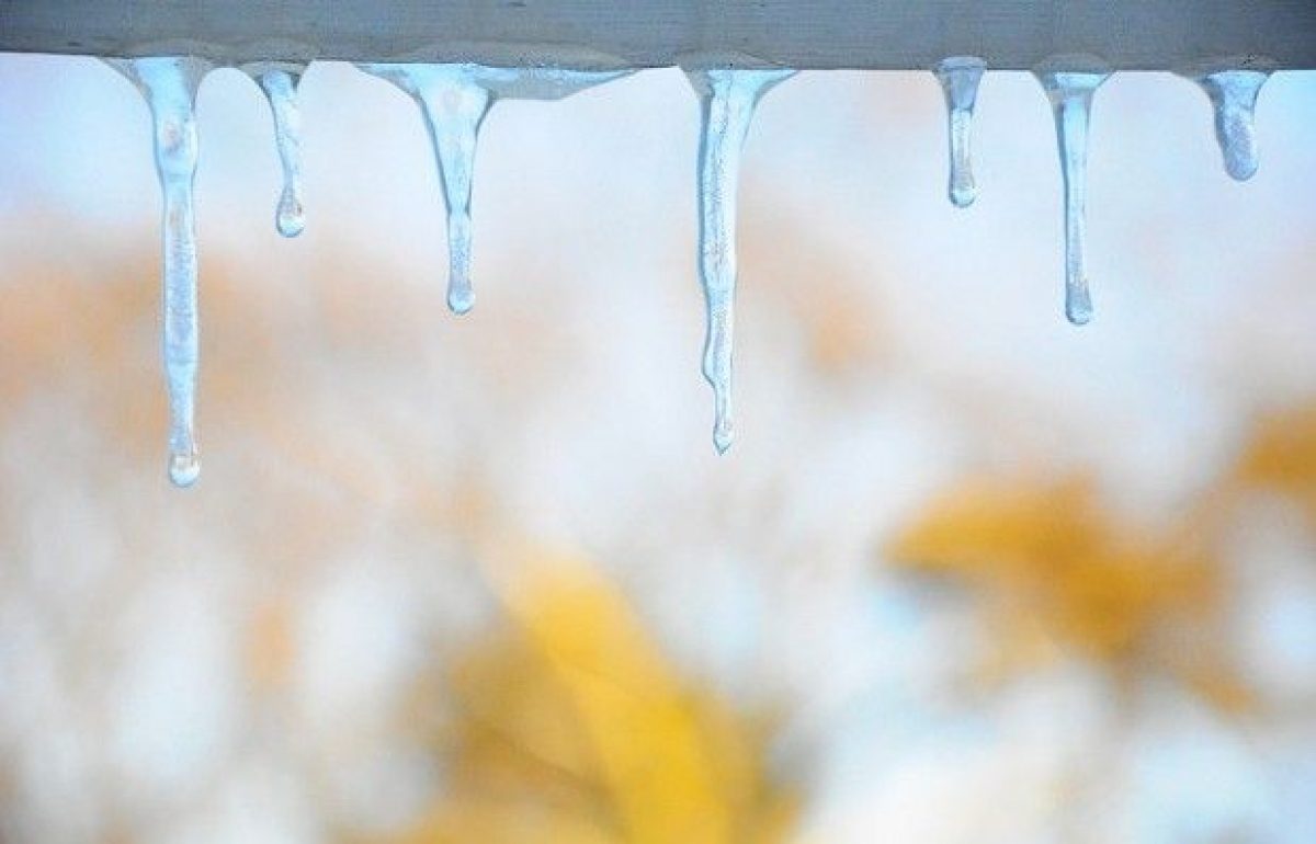  ������� ������� �������� �������� ������� ������������ ��������� 