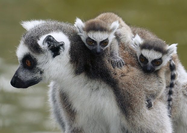 REUTERS REUTERS