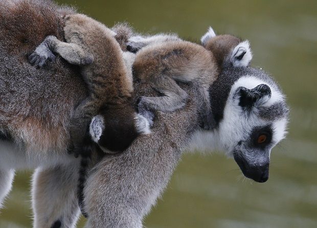 REUTERS REUTERS