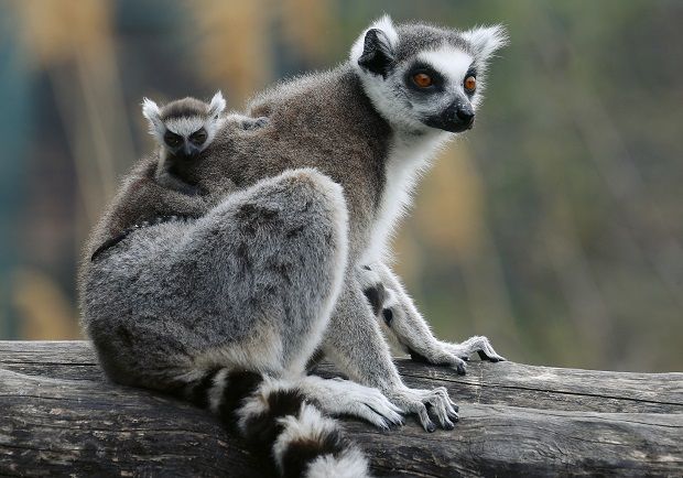 REUTERS REUTERS