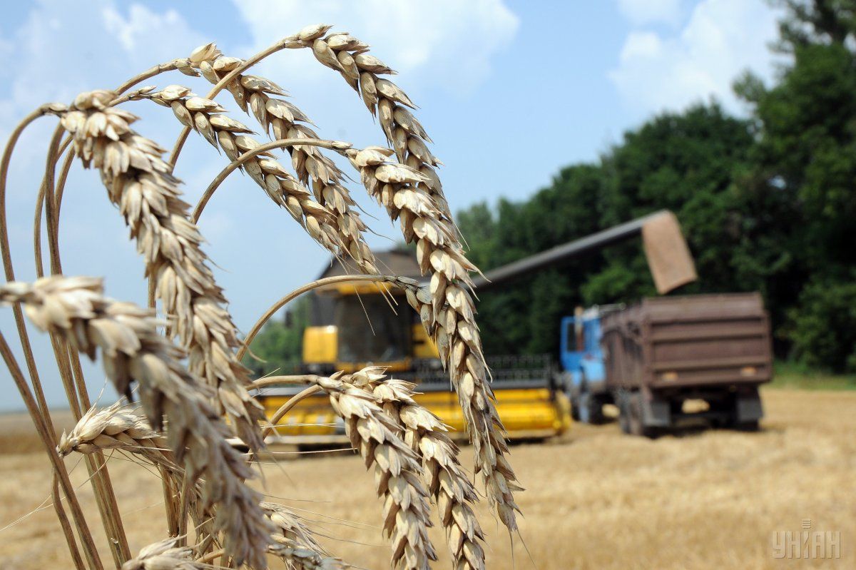 That Boom You Hear Is Ukraines Agriculture Bloomberg Unian