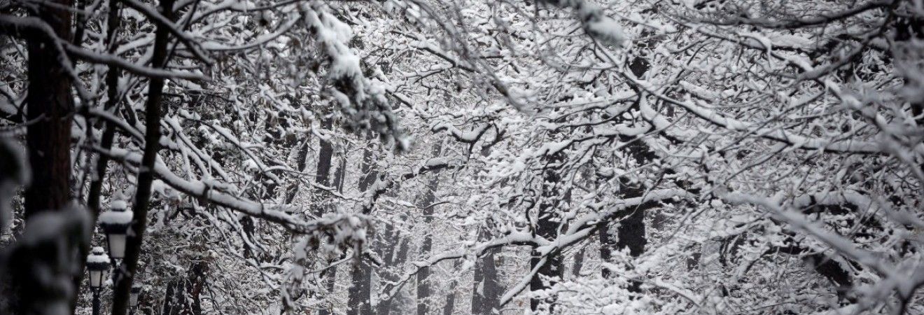 В Украине сегодня практически без осадков, на востоке до -6° (карта)