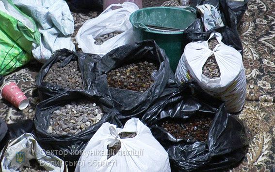 В Ровенской области полицейские изъяли около 100 кг янтаря