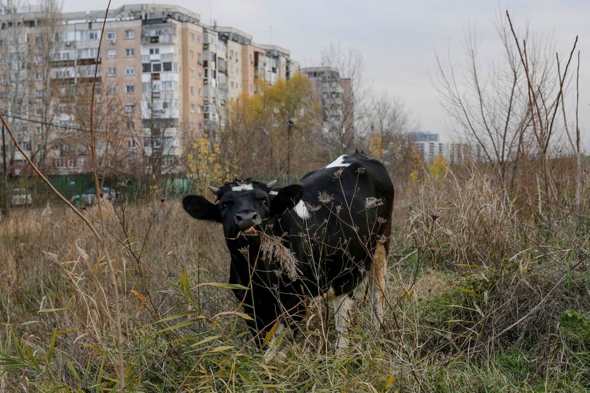 Иллюстрация / REUTERS