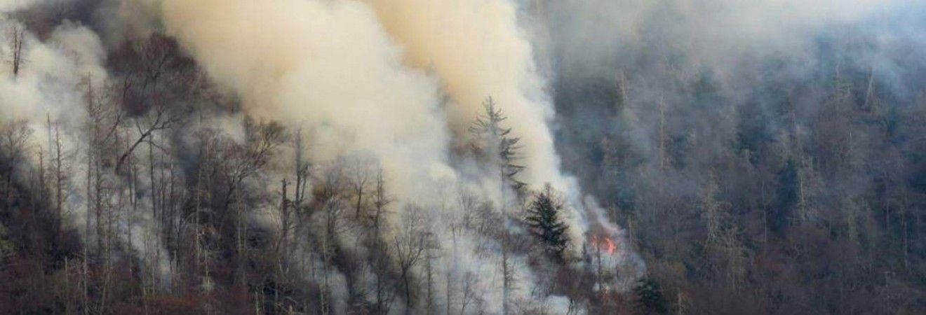 У США більше 10 людей загинули в результаті торнадо і лісових пожеж