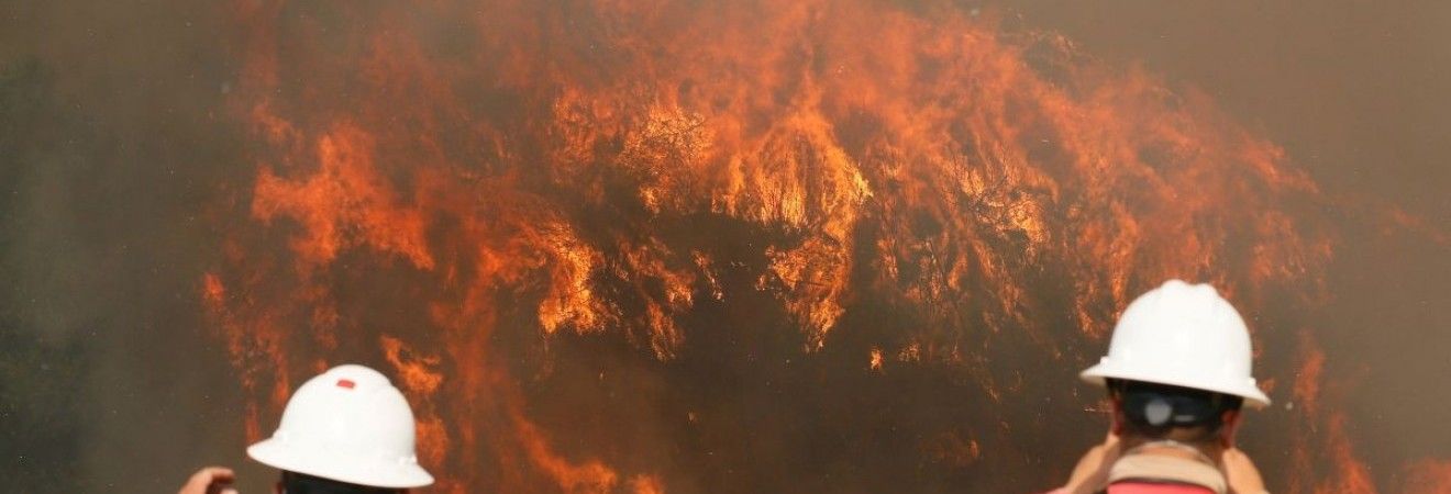 У Росії горить майже 22 тисячі га лісу