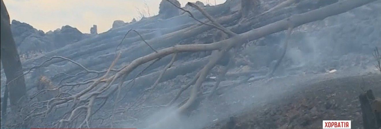 Хорватія у вогні: лісові пожежі охопили південне узбережжя країни (відео)