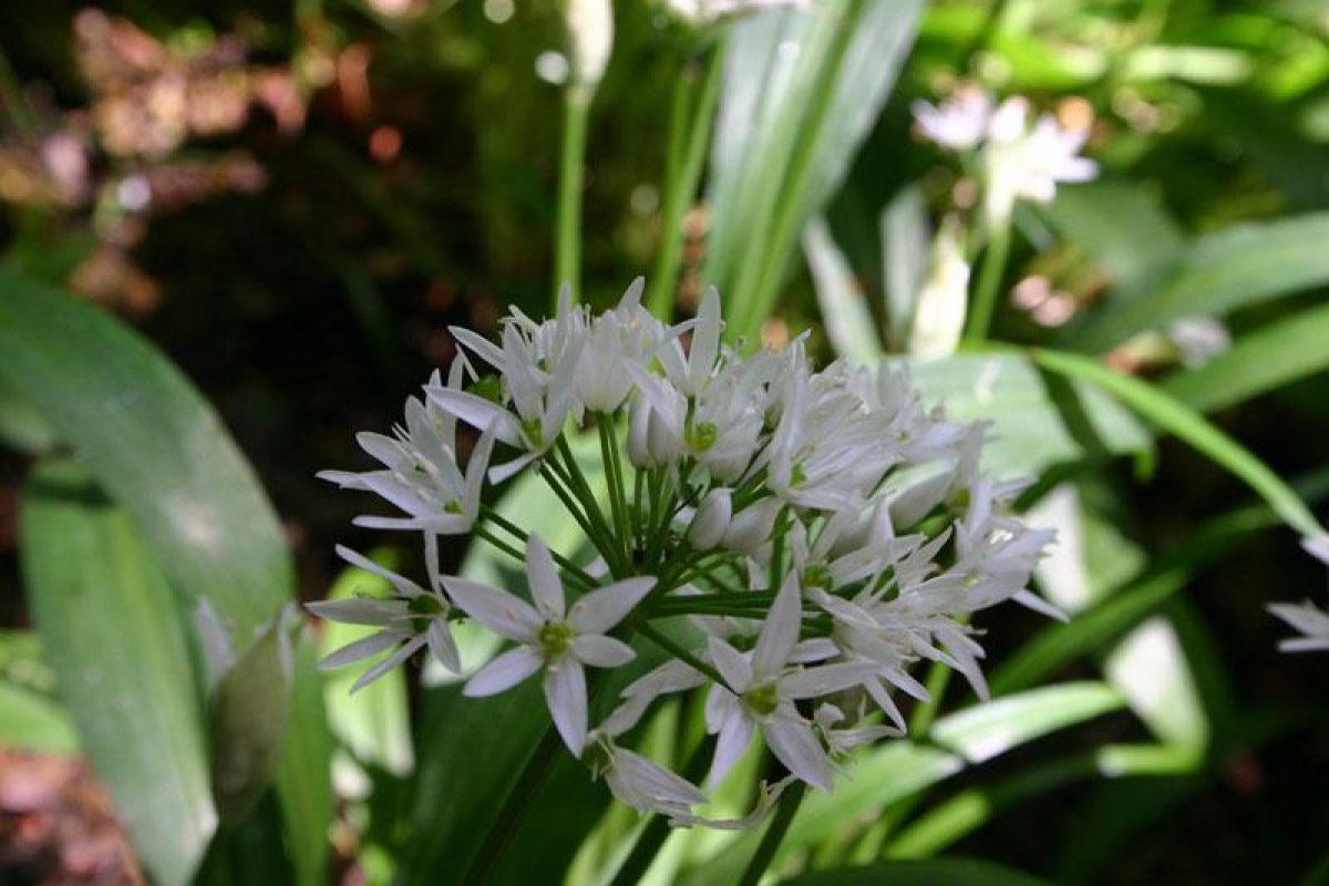  ������� �������� �������� �������� 