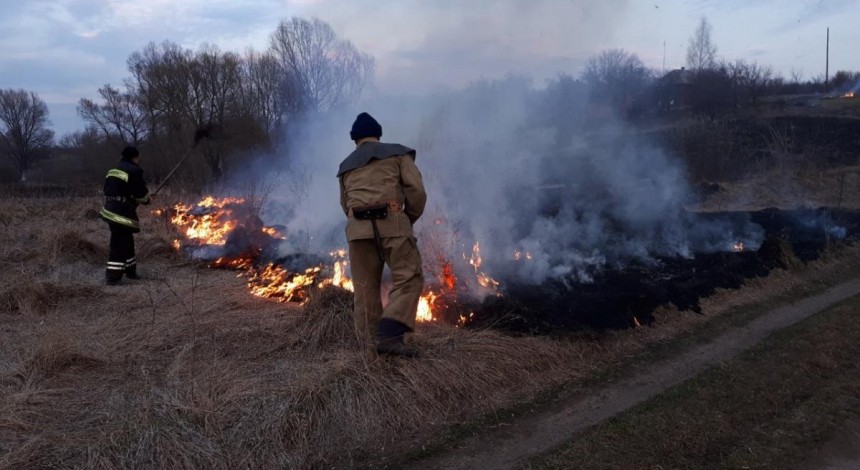 В Україні можуть збільшити штрафи за спалювання листя і сухої трави