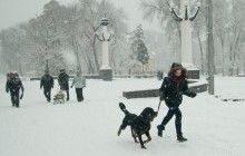 В Украине упростили процедуру оформления наследства