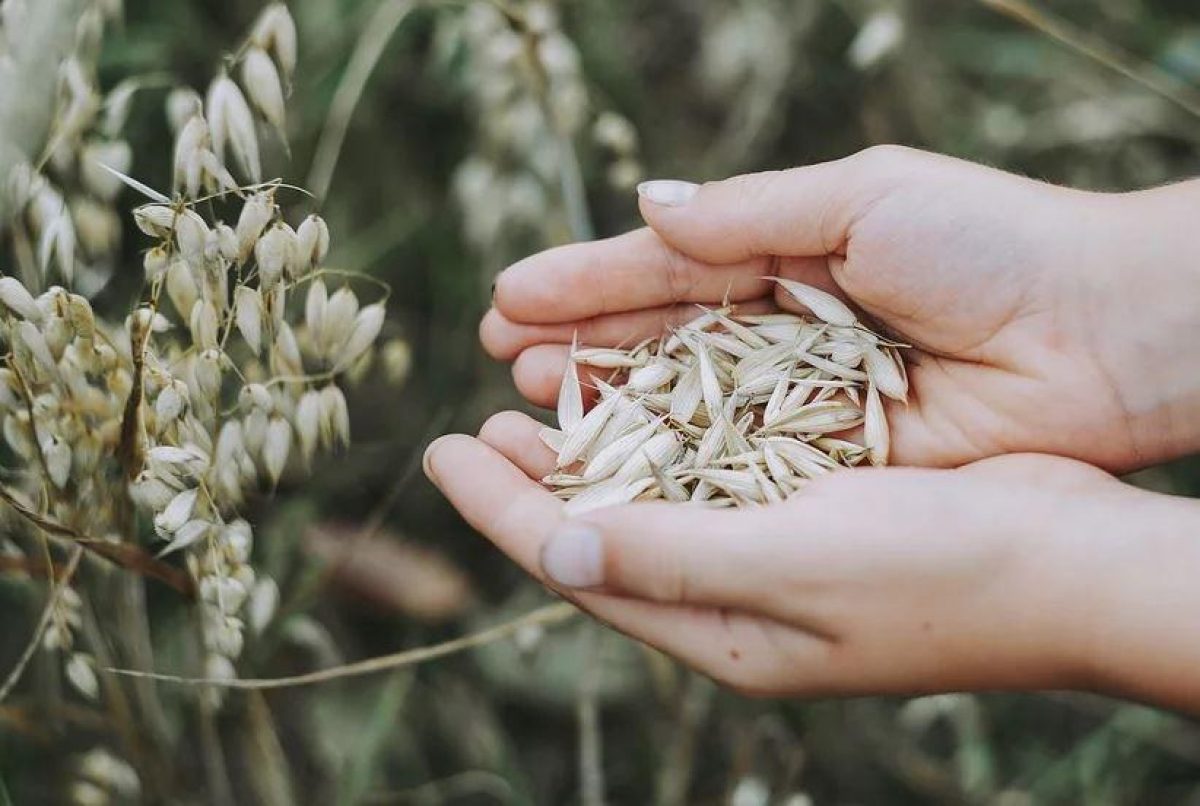  ���� ������� �������� �������� ��������� �������� 