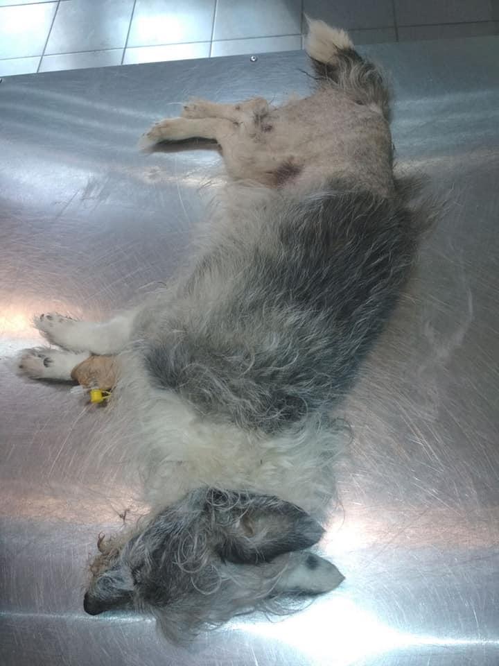 ����: unian.net