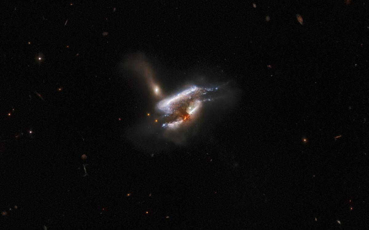1644829593-9417.jpg?0.7176175140842256
