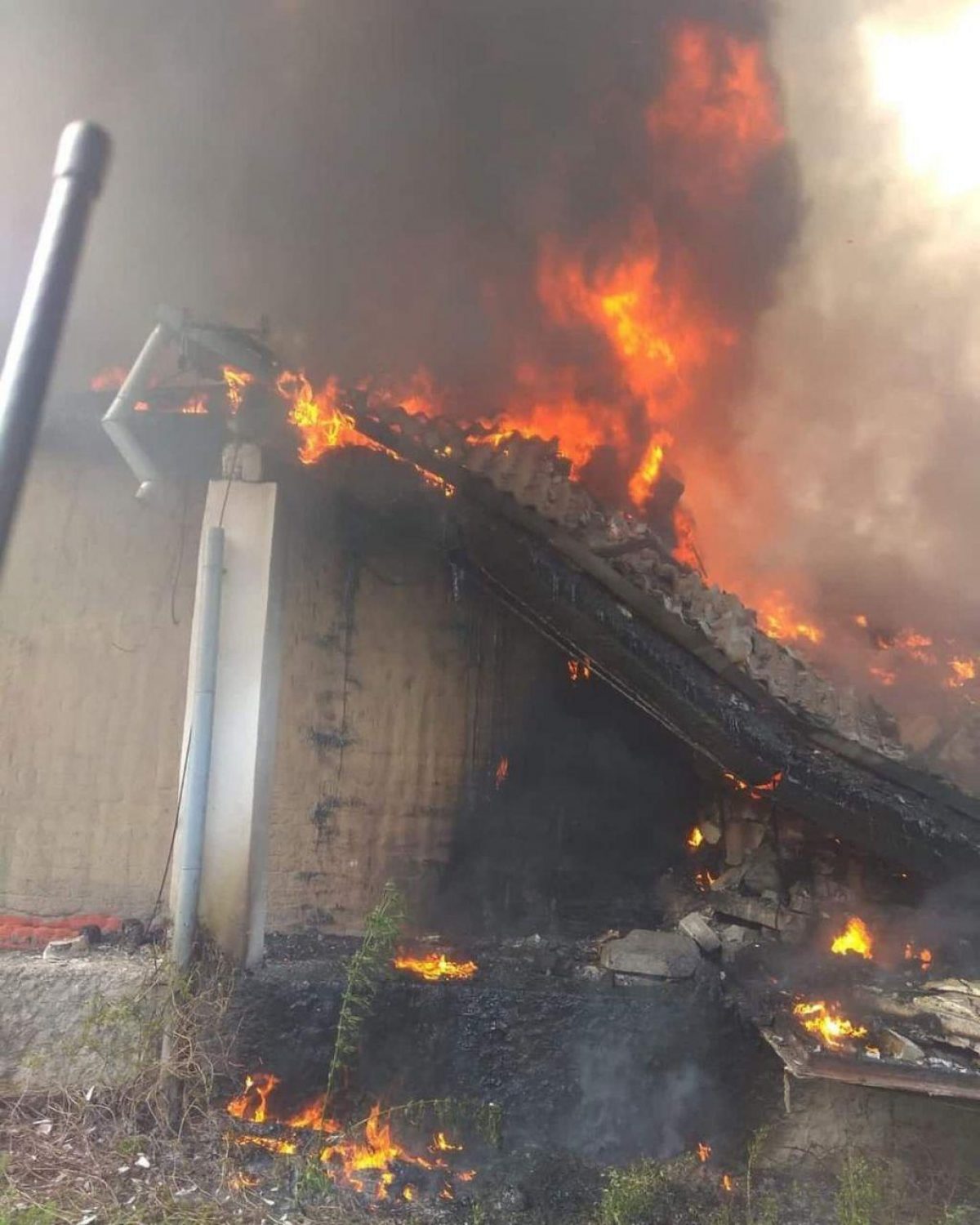 ����: unian.net