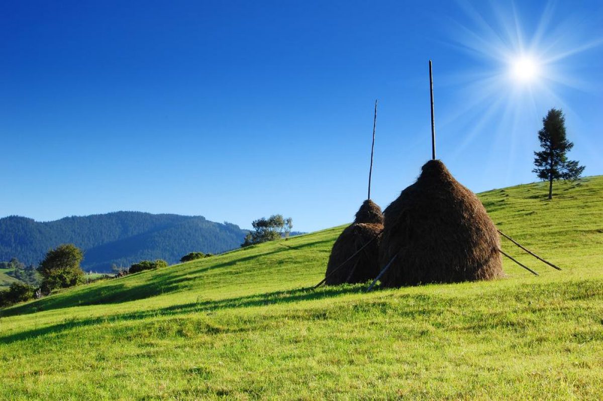  ������� �������� �������� ������� ������ �������� ������� 