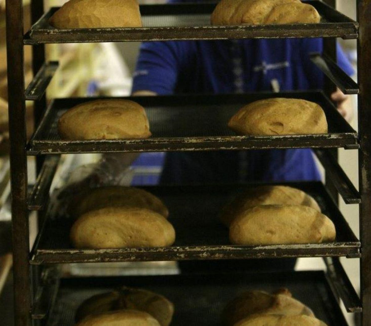  ������ �������������� ����������� ������������ ������ 