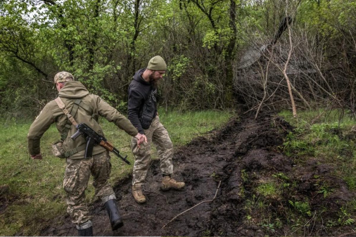  ������ ��������� ���������������� ��� ������ ������� nyt 