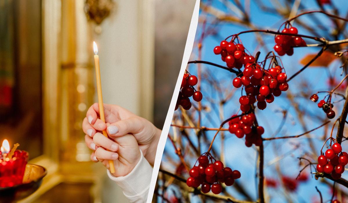  ��������� �������� ������ ����������� ���� ����� 