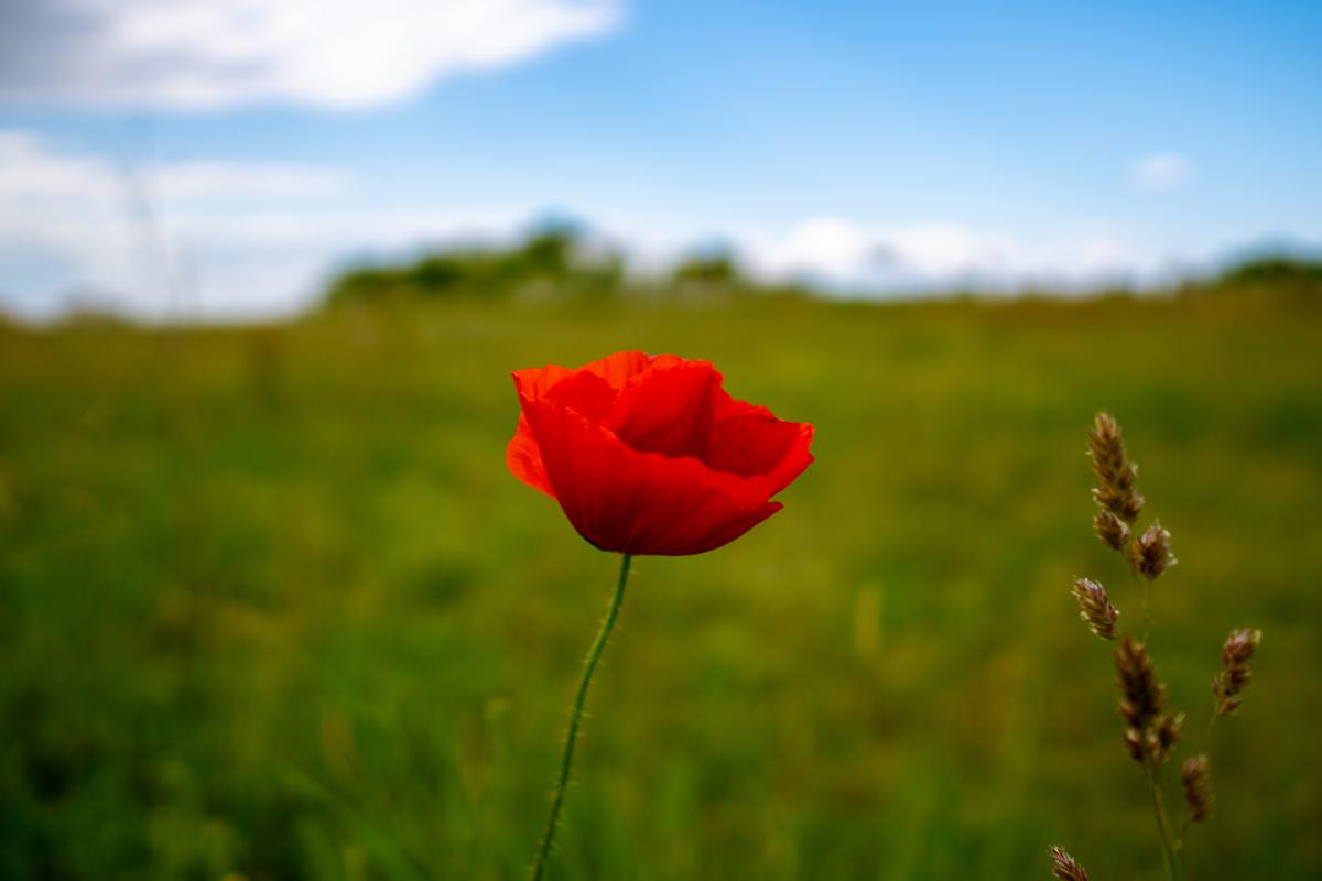 Прикмети на сьогодні / freepik.com Прикмети на сьогодні / freepik.com