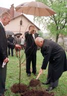 Lviv Summit of 9 European Countries