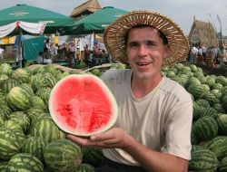 A salesman displays Kherson’s  water-melons