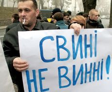 Акция ”Свиньи не виноваты!”