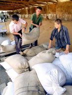 Школярі на току