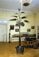 The Mertsalov's Palm