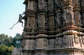 Обезьяна карабкается по стене храма Камасутры