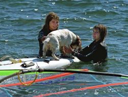 Любительки віндсерфинга із собакою