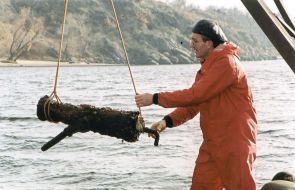 Співробітник гідро-археологічної експедиції 