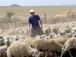 Shepherd