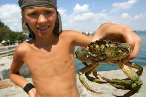 A boy hands crab