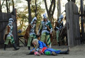 Спектакль ”Тарас Бульба”