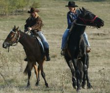 Ukraine horse competition