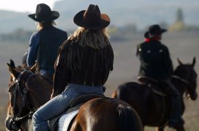 Ukraine horse competition