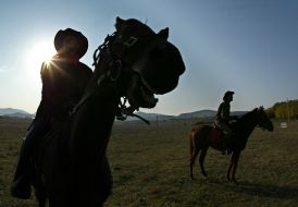 Ukraine horse competition