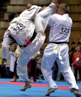 Украина борьба