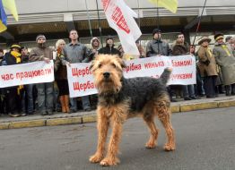 пикетирование Генпрокуратуры Украины