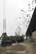 Kherson maritime commercial port