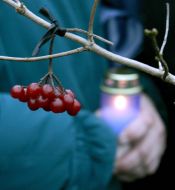 Opening of monument honoring the Holodomor victims