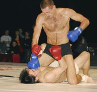 International tournament by honour for fri-fayt ”Fire by Peresvet”