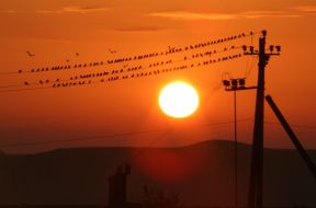 Пейзажи Криму