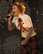 Survey of television concert ”New-year razgulyay”
