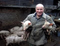 Private mini-pig farm